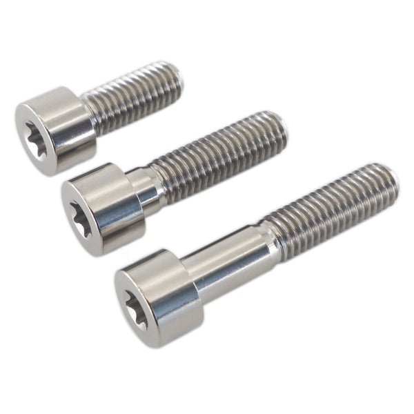 Gr5 Titanium Cap Torx Head Bolts ISO 14579 Bolts M2.5-M10 Available